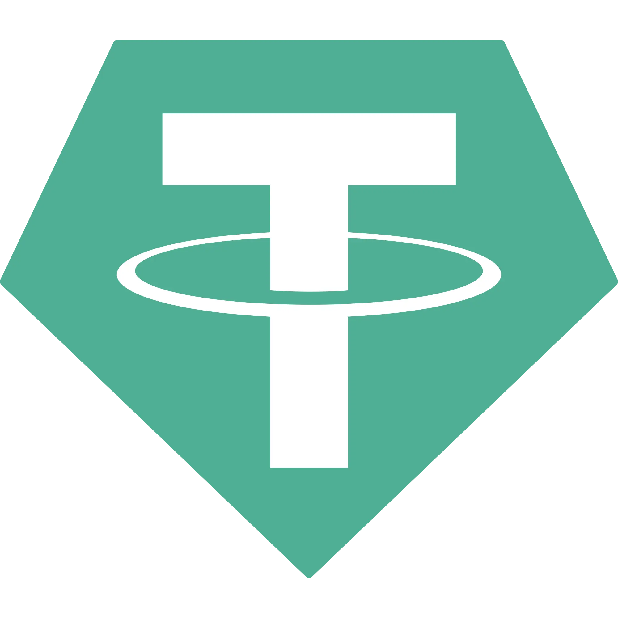 USDT Payment